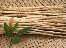 牛蒡的作用牛蒡茶中含有丰富的水溶性纤维素和菊糖
