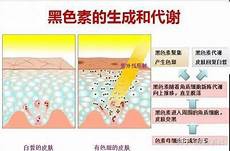 男人也有更年期吗男人也有更年期吗就像乳腺癌不是只有女性