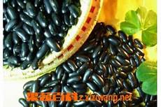 南瓜子的药用价值南瓜子的药用价值特别适合咱离医院、药店远的、买药