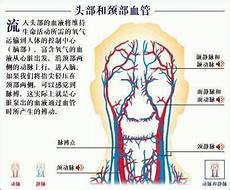 男人为什么喜欢女人为什么男人比较喜欢中年女人